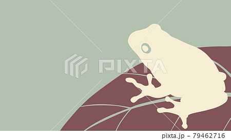 葉っぱの上のカエル 79462716