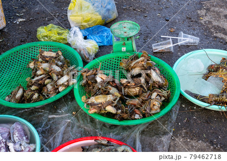 Live sea crabs and marine life lie in a tray at an Asian fish market. Vietnamese market. Sea catch. 79462718