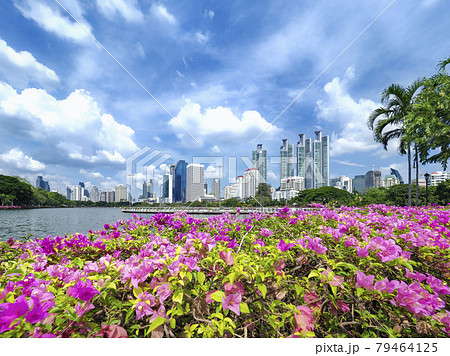 タイ・バンコク ベンジャキティ公園 / Benjakitti Park, Bangkok 79464125