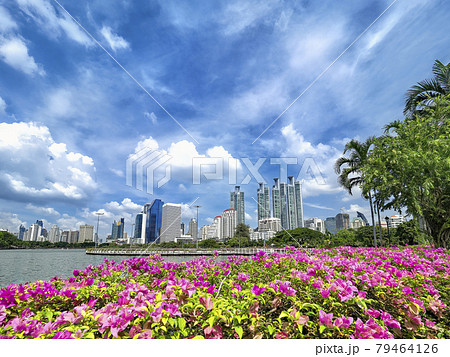 タイ・バンコク ベンジャキティ公園 / Benjakitti Park, Bangkok 79464126