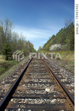 Railroad Tracks Railroad Tracks 79465402