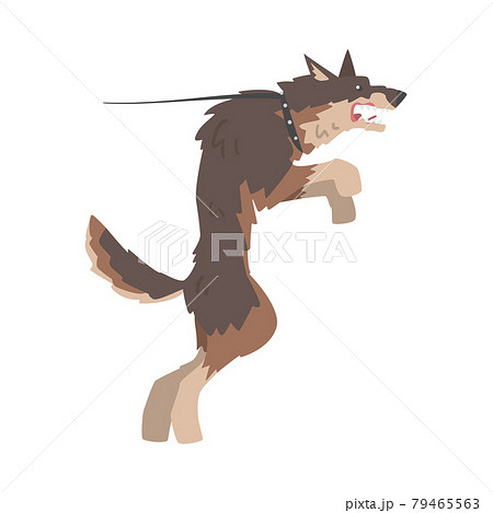 Angry Aggressive Dog Barking and Baring its Teeth Vector Illustration Angry Aggressive Dog Barking and Baring its Teeth Vector Illustration 79465563
