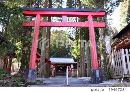 霧島市　和気神社の鳥居 79467284