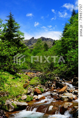 八ヶ岳　北沢コースから見る横岳 79467707