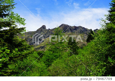 八ヶ岳　北沢コースから見る横岳 79467709