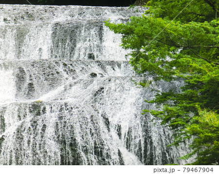 日本三名瀑　袋田の滝（茨城県久慈郡大子町袋田）初夏 79467904