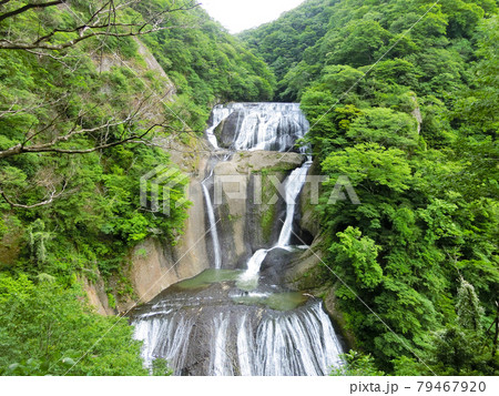 日本三名瀑 袋田の滝(茨城県久慈郡大子町袋田)初夏 日本三名瀑 袋田の滝(茨城県久慈郡大子町袋田)初夏 79467920