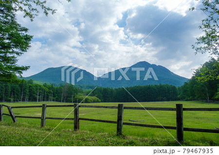 牧場の山並 79467935