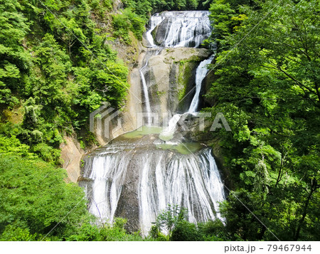 日本三名瀑　袋田の滝（茨城県久慈郡大子町袋田）初夏 79467944