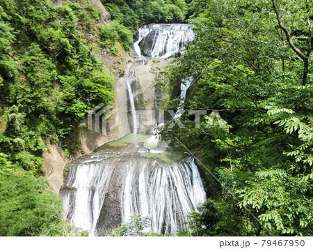 日本三名瀑 袋田の滝(茨城県久慈郡大子町袋田)初夏 日本三名瀑 袋田の滝(茨城県久慈郡大子町袋田)初夏 79467950