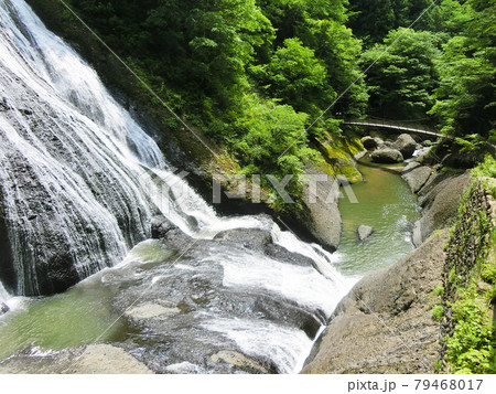 日本三名瀑　袋田の滝（茨城県久慈郡大子町袋田）初夏 79468017