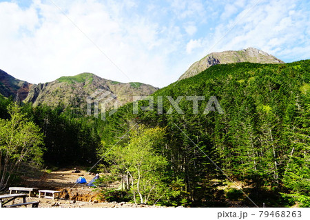 八ヶ岳　行者小屋から見る中岳と阿弥陀岳 79468263