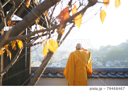 景色を眺めるお坊さん 79468467