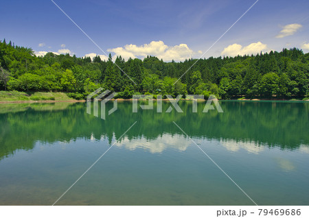初夏の魚沼市鏡ヶ池 79469686