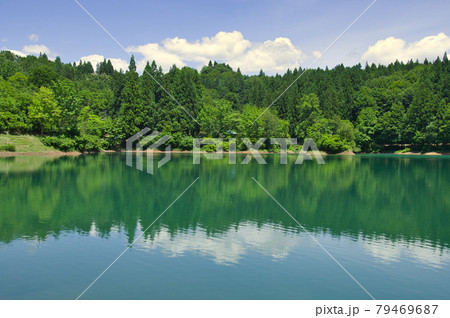 初夏の魚沼市鏡ヶ池 79469687