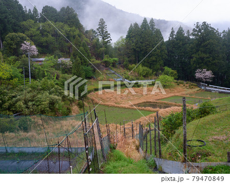 里山の風景 79470849