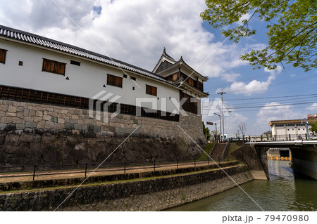 京都府福知山市　春の福知山城公園の堀と櫓 79470980