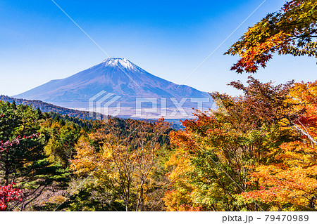 （山梨県）二十曲峠の紅葉、冠雪した富士山 79470989