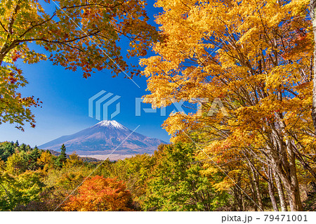 （山梨県）二十曲峠の紅葉、冠雪した富士山 79471001