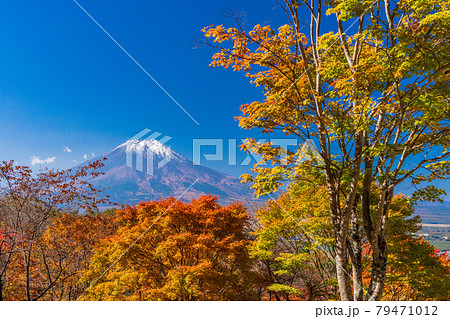 （山梨県）二十曲峠の紅葉、冠雪した富士山 79471012