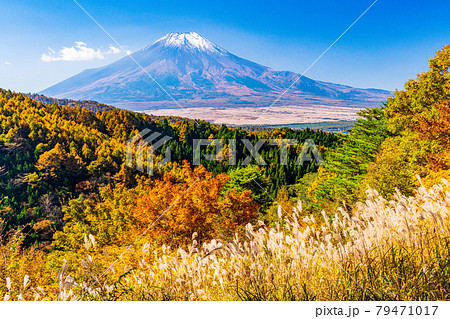 （山梨県）二十曲峠の紅葉、冠雪した富士山 79471017