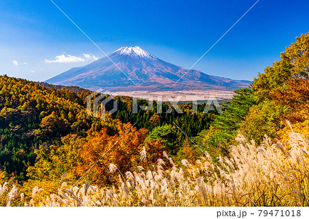 （山梨県）二十曲峠の紅葉、冠雪した富士山 79471018