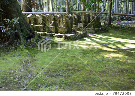 赤山禅院 羅漢と石仏 赤山禅院 羅漢と石仏 79472008
