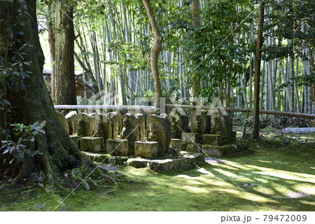 赤山禅院 羅漢と石仏 赤山禅院 羅漢と石仏 79472009