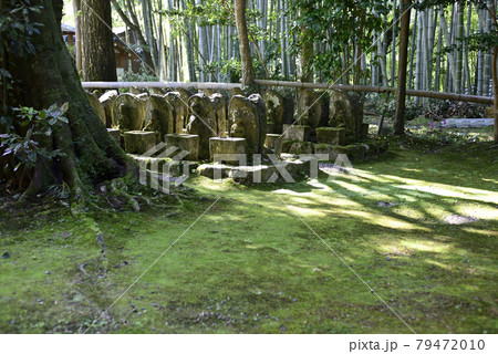 赤山禅院 羅漢と石仏 赤山禅院 羅漢と石仏 79472010