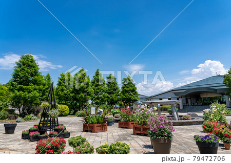 滋賀県草津市　水生植物公園みずの森の入り口付近とロータス館 79472706