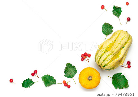 Halloween concept. Natural food, harvest with orange pumpkin, fall dried leaves, rowan berries isolated on white background. Beauty Holiday autumn festival concept. Fall scene. Halloween concept. Natural food, harvest with orange pumpkin, fall dried leaves, rowan berries isolated on white background. Beauty Holiday autumn festival concept. Fall scene. 79473951