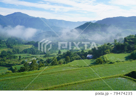 日本の原風景 吉延の棚田 日本の原風景 吉延の棚田 79474235