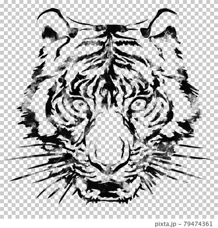 老虎臉朝上 79474361