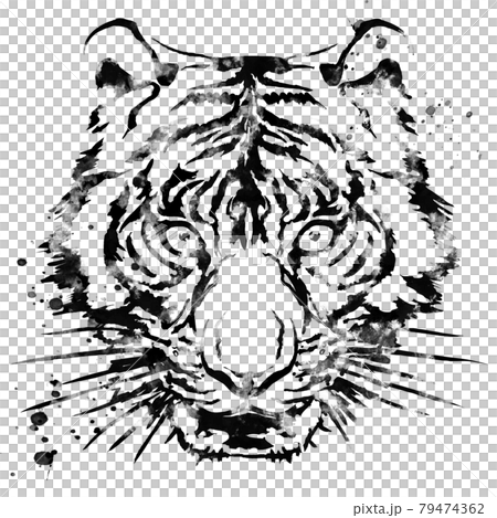 老虎臉朝上 79474362