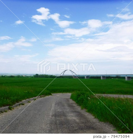 北海道豊頃町の河川敷 79475094