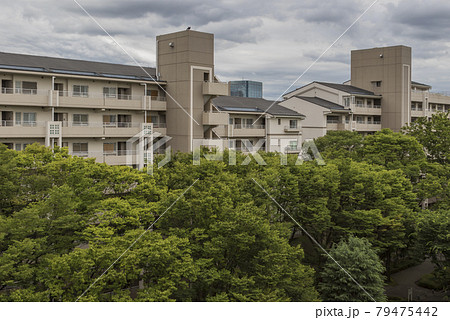 住宅地　公団　公団住宅　ベランダ　新緑 79475442