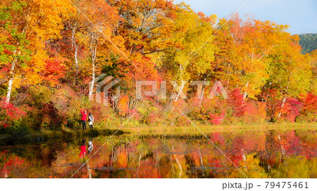 夫婦円満 秋の散歩 夫婦円満 秋の散歩 79475461