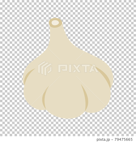 大蒜のイラスト。丸く可愛く描いた野菜のニンニク。 79475665