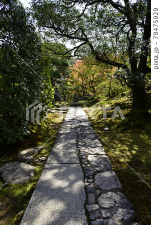 桂離宮　外腰掛前の「行の延段」 79475929