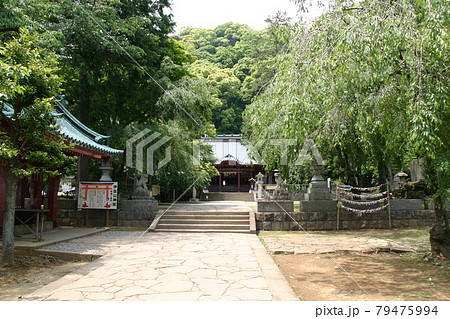 伊豆山神社（静岡県熱海市） 79475994