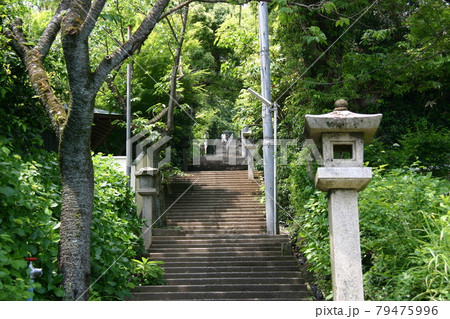 伊豆山神社参道の石段（静岡県熱海市） 79475996