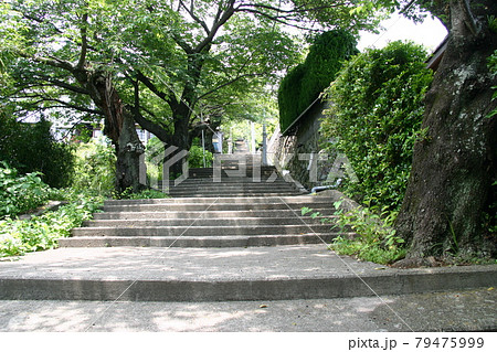 伊豆山神社参道の石段(静岡県熱海市) 伊豆山神社参道の石段(静岡県熱海市) 79475999