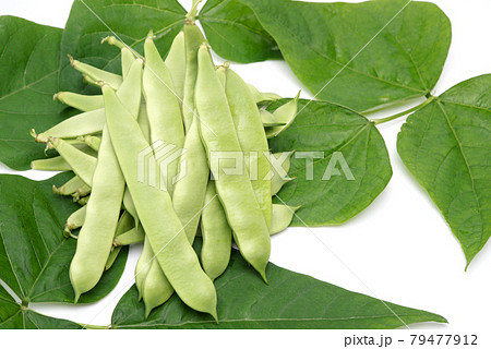 kidney bean leaves