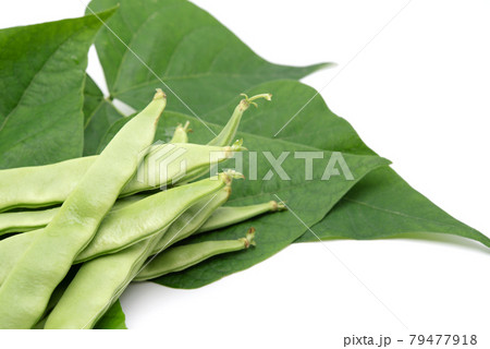 Morocco beans with leaves isolated on white background Morocco beans with leaves isolated on white background 79477918