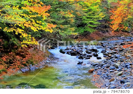 紅葉の二口峡谷 紅葉の二口峡谷 79478070