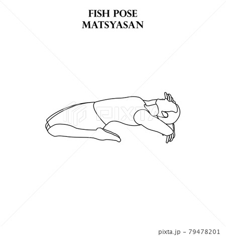 Fish pose yoga workout. Matsyasan. Man doing yoga illustration outline Fish pose yoga workout. Matsyasan. Man doing yoga illustration outline 79478201