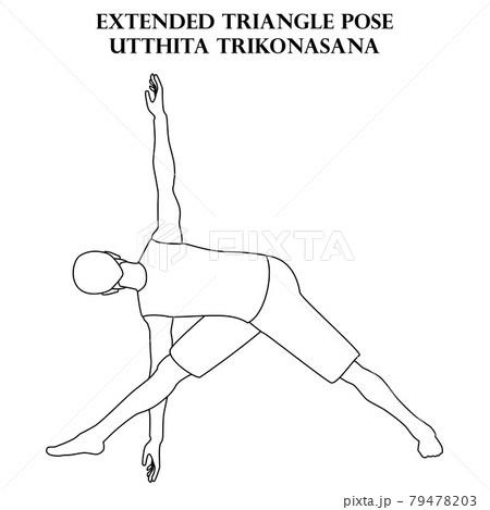 Extended triangle pose yoga workout. Utthita Trikonasana. Man doing yoga illustration outline 79478203