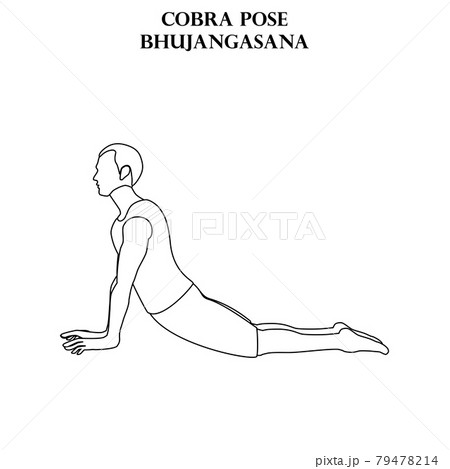 Bhujangasana - The Cobra Pose
