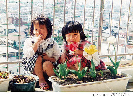 昔のフィルム写真　ベランダのチューリップと二人の姉妹 79479712