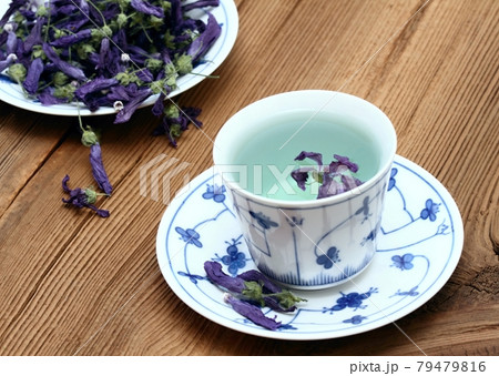 Herbal tea from dried flowers of Wild mallow, lat.  Malva sylvestris. 79479816